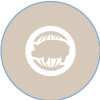 Theme 4